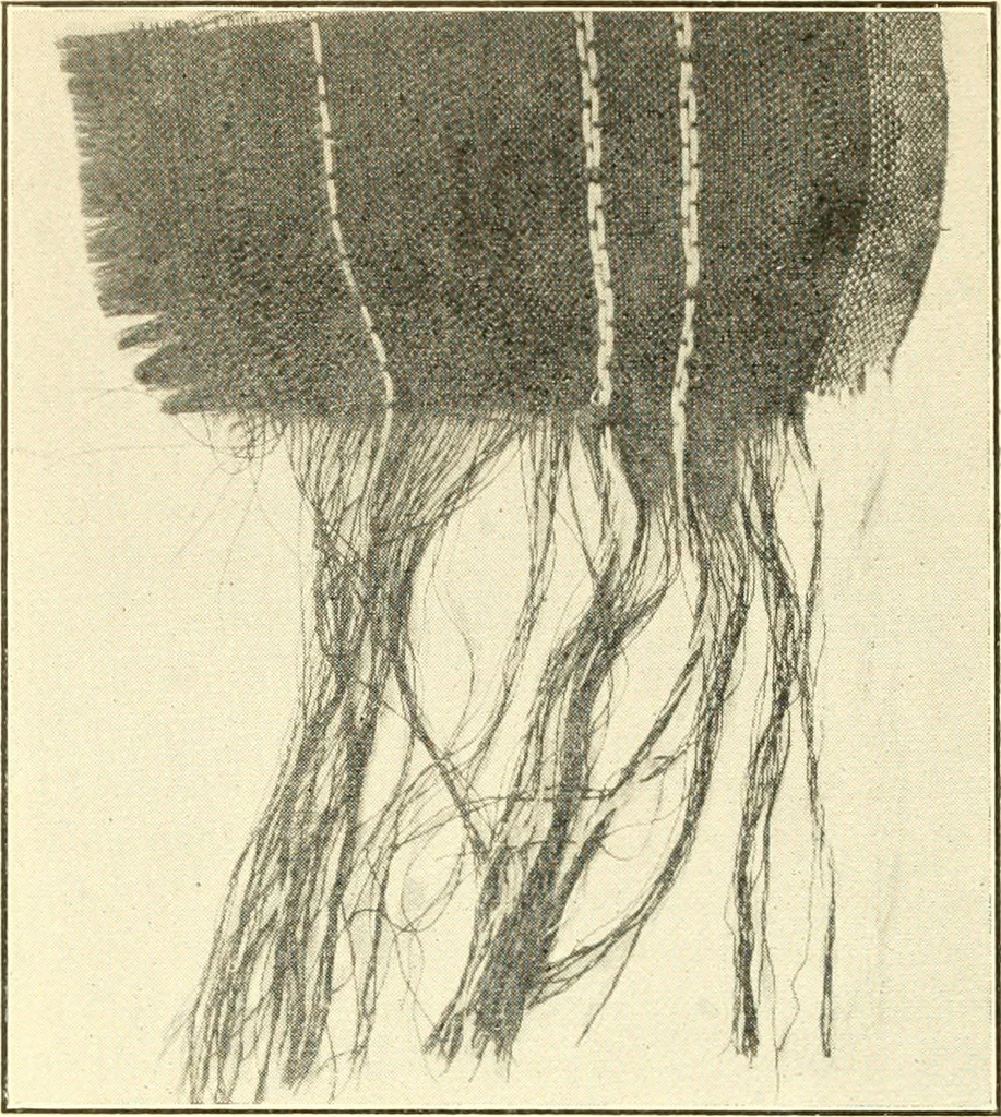 An illustration from Some points in choosing textiles, 1910, leaf 13