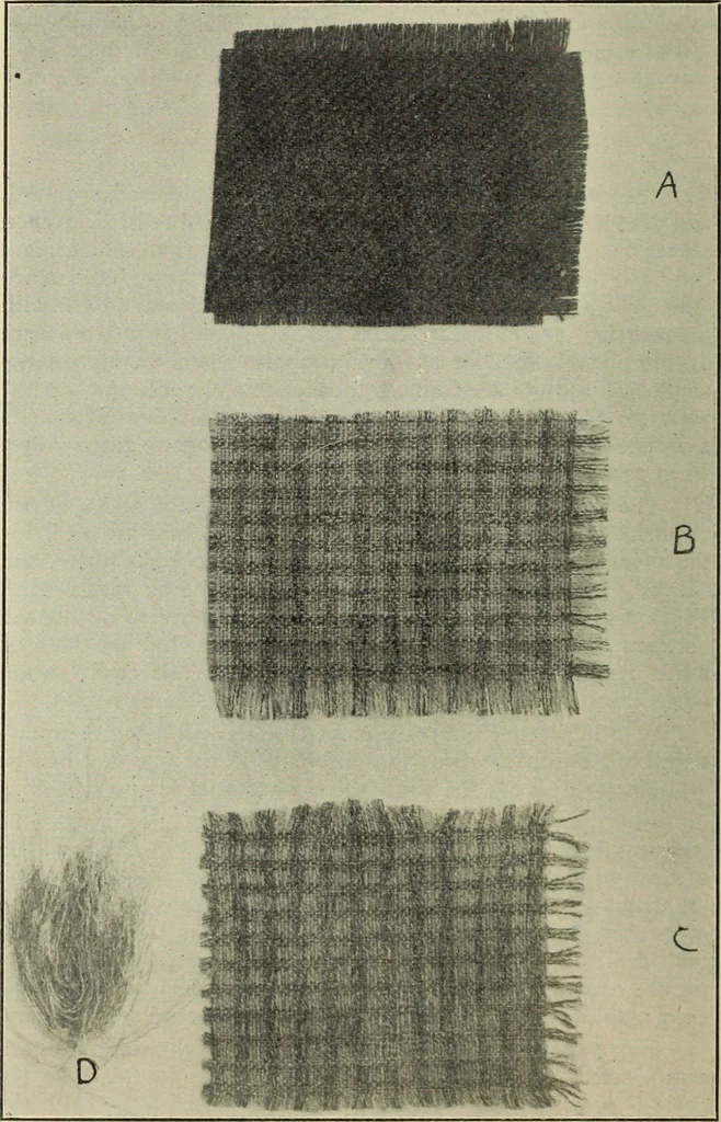 An illustration from Some points in choosing textiles, 1910, leaf 11