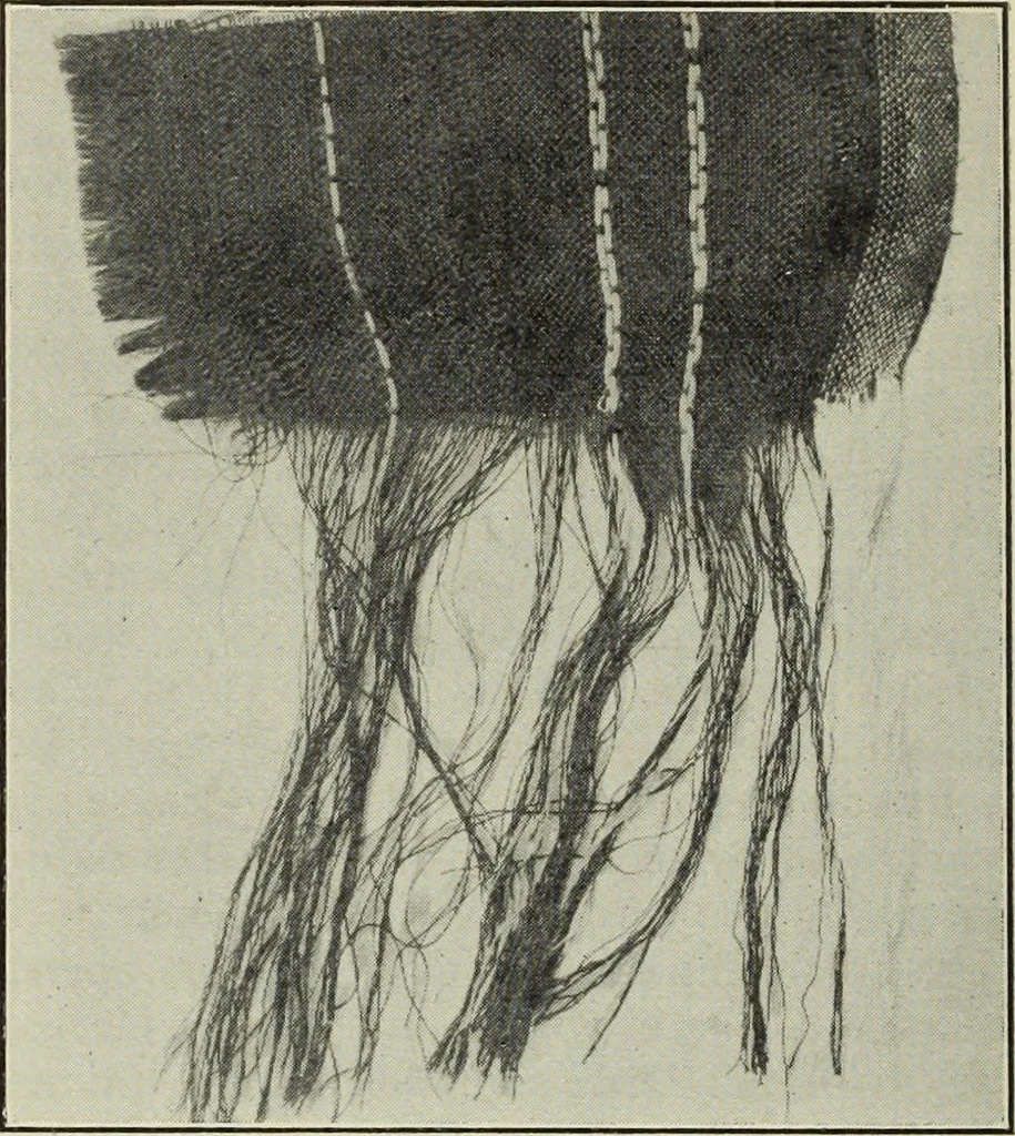 An illustration from Some points in choosing textiles, 1910, leaf 13