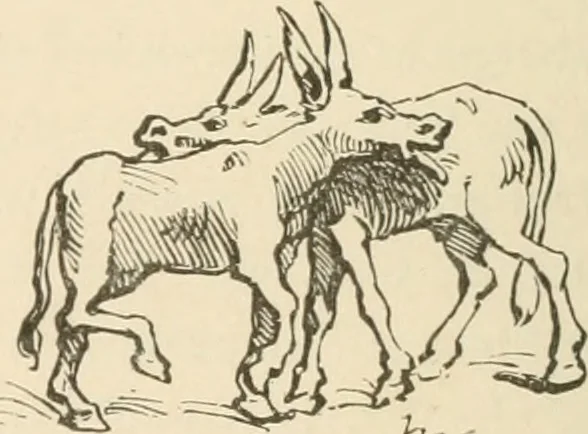 An illustration from Some practical hints on wood engraving for the instruction of reviewers and the public, 1879, leaf 39