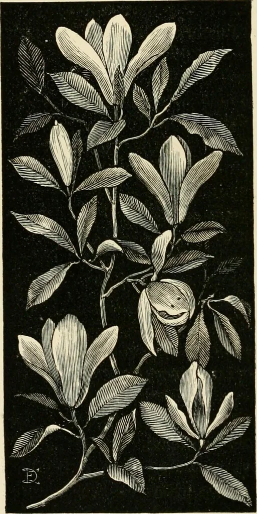An illustration from Some principles of every-day art: introductory chapters on the arts not fine, 1890, leaf 103
