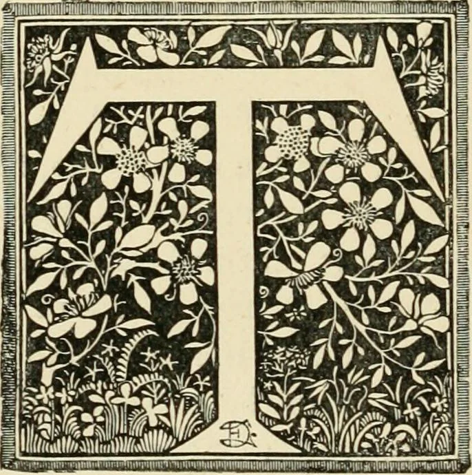 An illustration from Some principles of every-day art: introductory chapters on the arts not fine, 1890, leaf 33