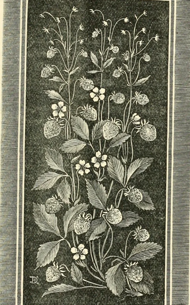 An illustration from Some principles of every-day art: introductory chapters on the arts not fine, 1890, leaf 62