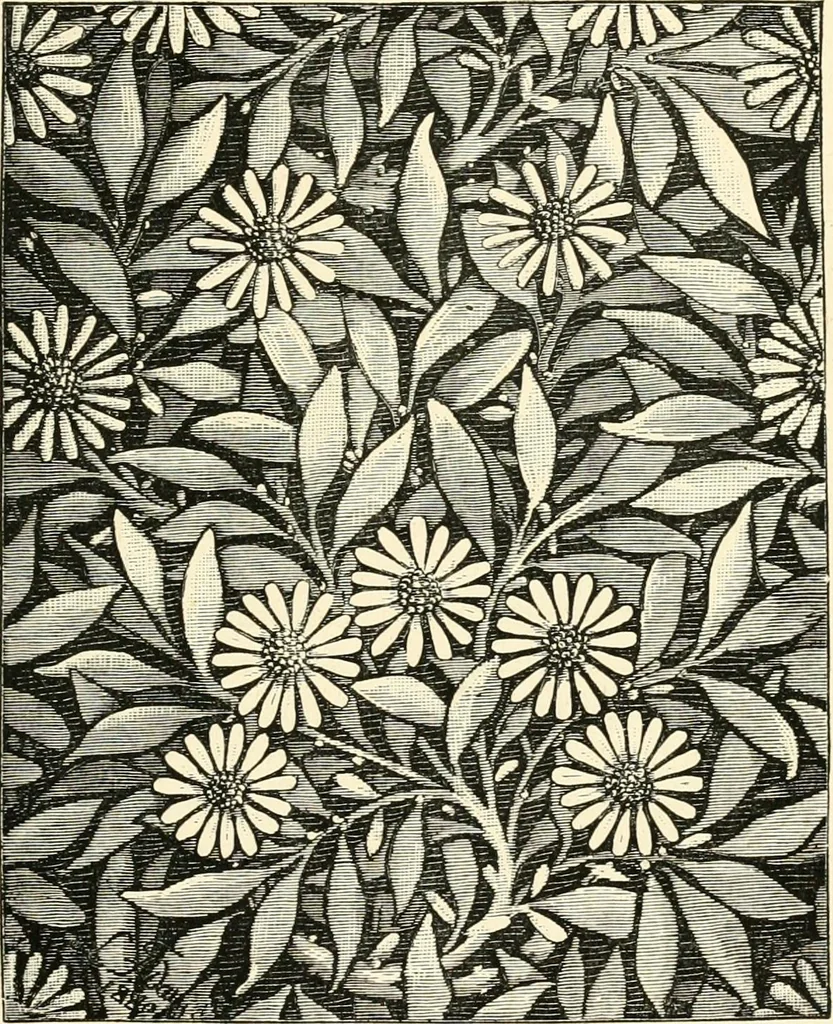 An illustration from Some principles of every-day art: introductory chapters on the arts not fine, 1890, leaf 92