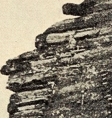 An illustration from Some successful Americans, 1904, leaf 19