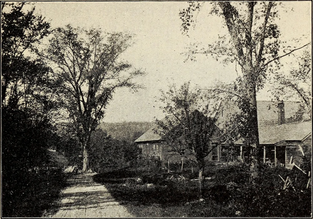An illustration from Some successful Americans, 1904, leaf 66