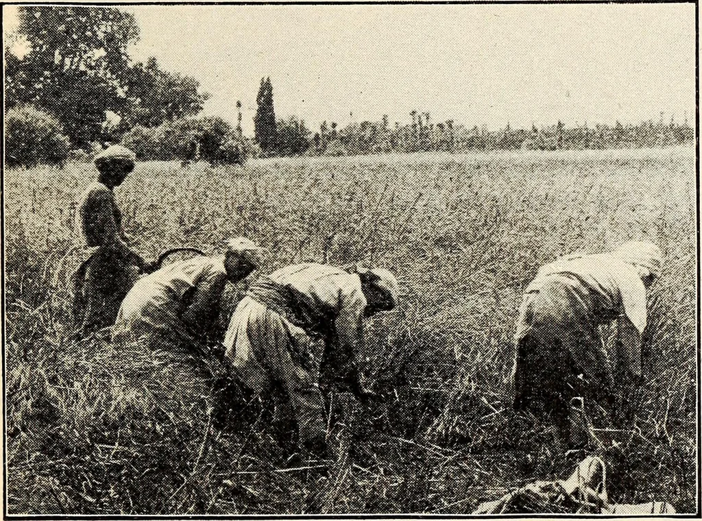 An illustration from Some successful Americans, 1904, leaf 92
