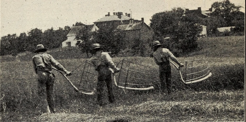 An illustration from Some successful Americans, 1904, leaf 93