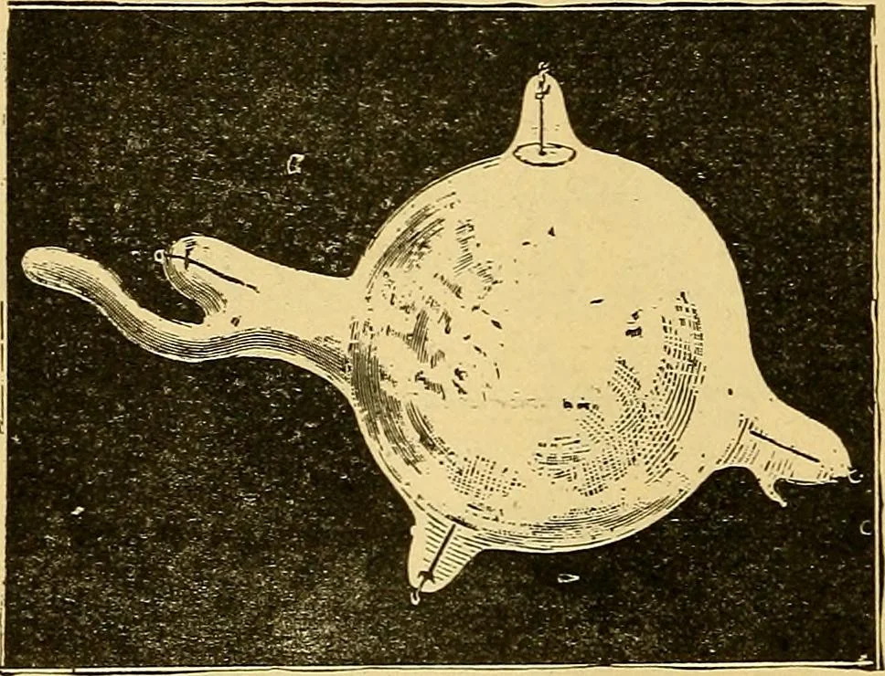 An illustration from Something about X rays for everybody, 1896, leaf 29