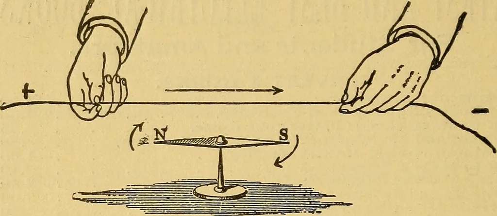 An illustration from Something about X rays for everybody, 1896, leaf 89