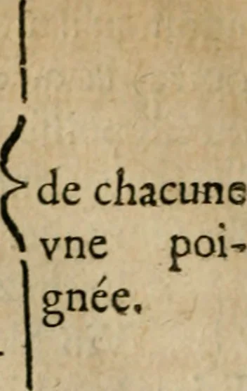 An illustration from Sommaire de la medecine chymique : où l'on void clairement beaucoup de choses que les autheurs ont tenuës iusques icy dans l'obscuritè : auec vn Recueil de diuers secrets de medecine, 1632, leaf 233