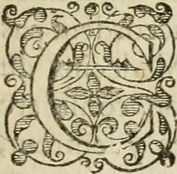 An illustration from Sommaire de la medecine chymique : où l'on void clairement beaucoup de choses que les autheurs ont tenuës iusques icy dans l'obscuritè : auec vn Recueil de diuers secrets de medecine, 1632, leaf 72