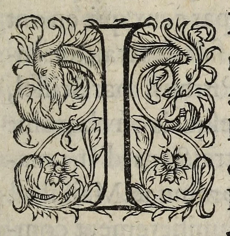 An illustration from Sommaire responce a l'Examen d'un heretique sur un discours de la loy Salique, faussemement pretendu contre la maison de France & la branche de Bourbon., 1587, leaf 9