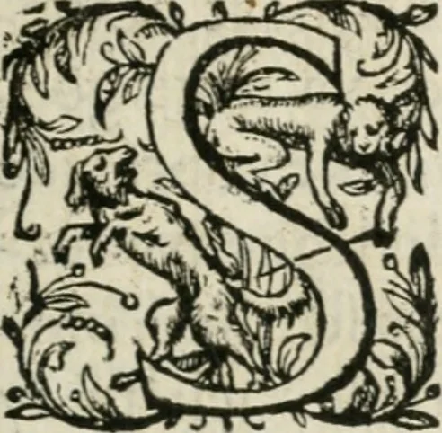 An illustration from Sommare beschrijuinghe vãde triumphelijcke incomst vanden doorluchtighen ende hooghgheboren aerts-hertoge Matthias : binnen die princelijcke stadt van Brussele : in t'iaer ons Heeren M.D.LXXVIII. den xviij dach Januarij : midtsgaders die tanneelen, poincten, figuren ende spectaculen, die inde voorseyde incompste (ter eeren van sijne doorluchticheyt) zijn verthoont ghevveest, met meer ander saken, die doen ter tijt gheschiet zijn, 1579, leaf 10