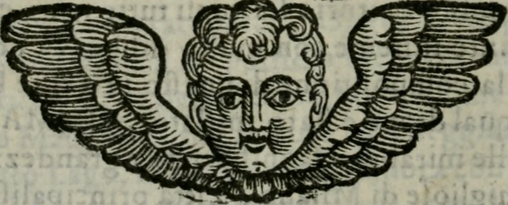 An illustration from Sommario delle cose mirabili della città di Milano : diuiso in due libri : nel primo si narra la sua antichità, fondatione, & huomini famosi, con altre cose mirabili : nel secondo si descriue l'antichità, & grandezza della chiesa milanese, & altre cose notabili, come nella tauola si vedrà, 1609, leaf 19