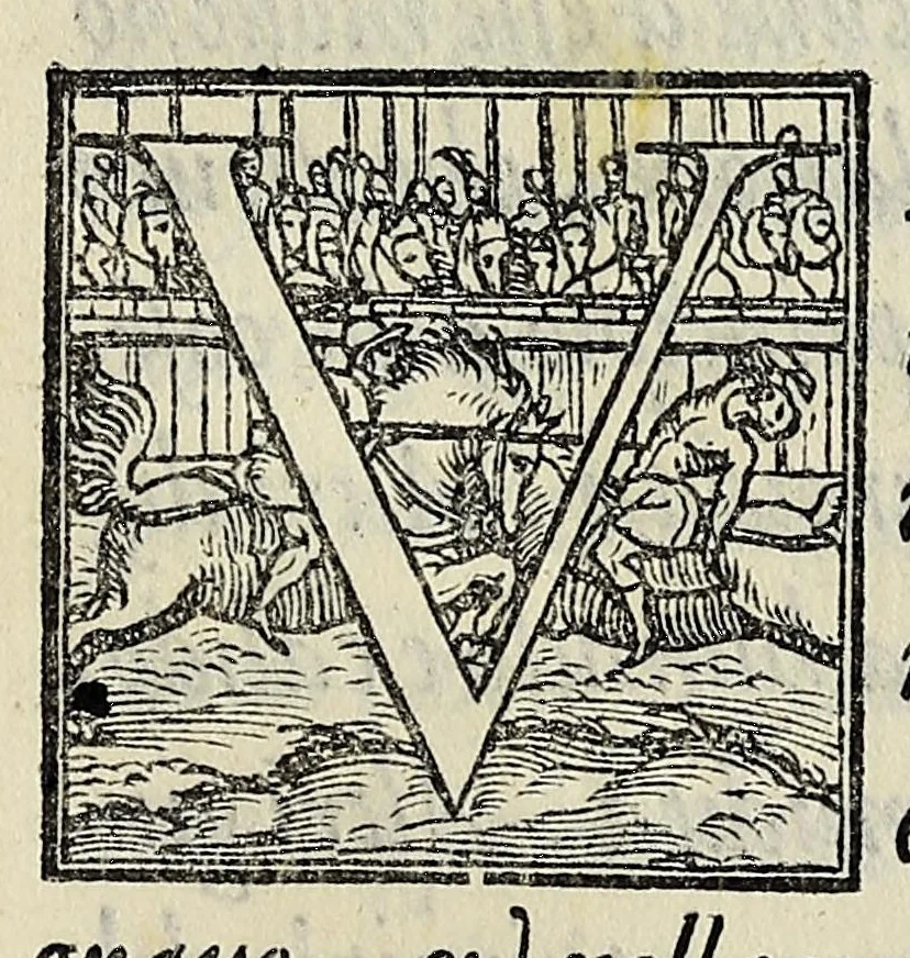 An illustration from Sommario di tutte le scientie, 1556, leaf 153