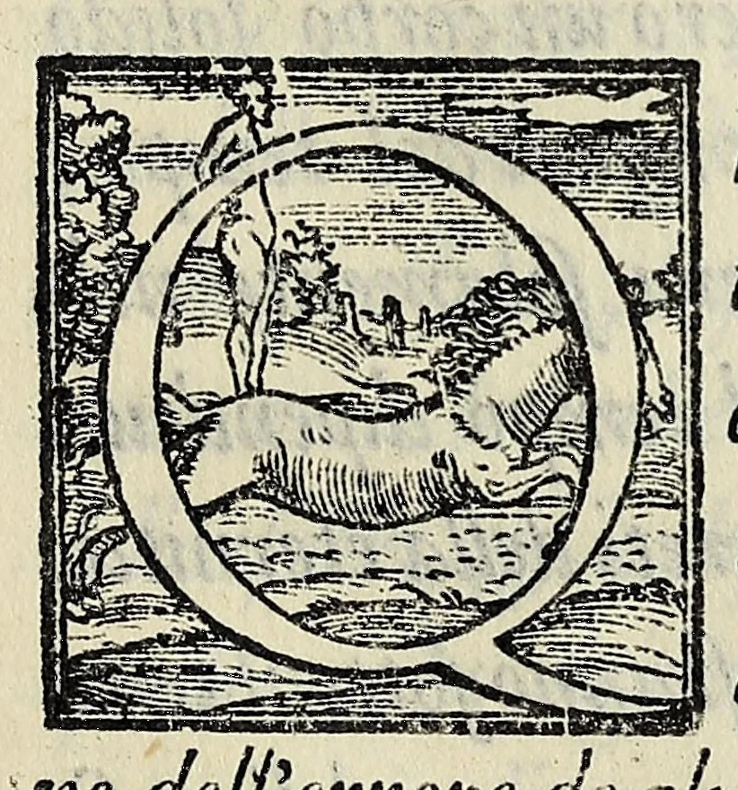An illustration from Sommario di tutte le scientie, 1556, leaf 181