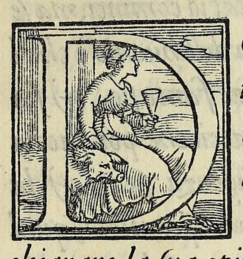 An illustration from Sommario di tutte le scientie, 1556, leaf 195