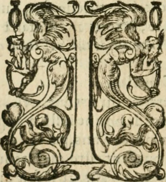 An illustration from Somme rural, ou, Le grand coustumier general de practique civil et canon, 1611, leaf 105