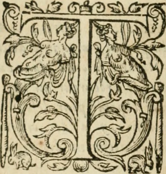 An illustration from Somme rural, ou, Le grand coustumier general de practique civil et canon, 1611, leaf 107