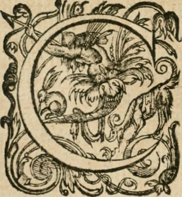 An illustration from Somme rural, ou, Le grand coustumier general de practique civil et canon, 1611, leaf 109