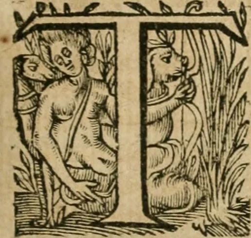 An illustration from Somme rural, ou, Le grand coustumier general de practique civil et canon, 1611, leaf 110