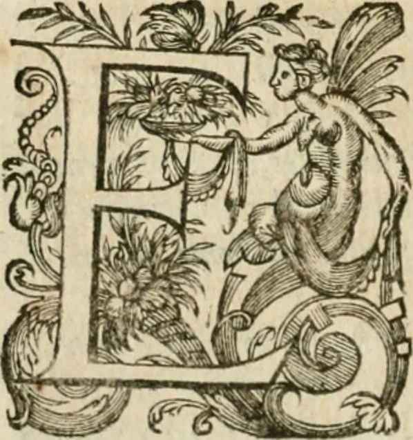 An illustration from Somme rural, ou, Le grand coustumier general de practique civil et canon, 1611, leaf 121