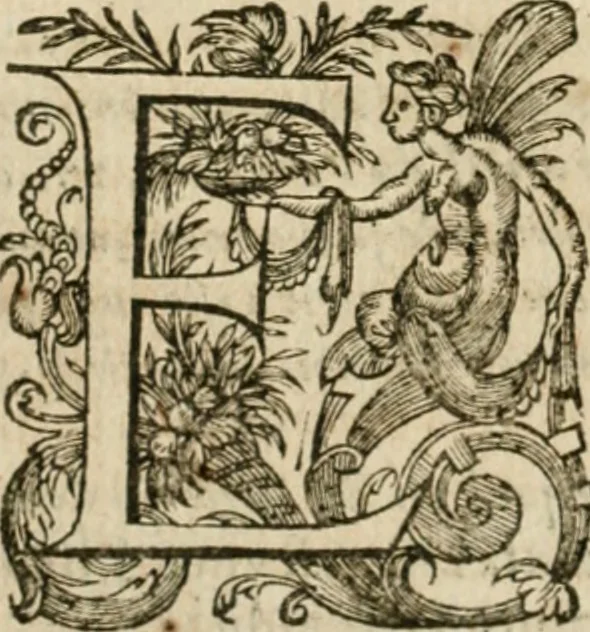 An illustration from Somme rural, ou, Le grand coustumier general de practique civil et canon, 1611, leaf 125