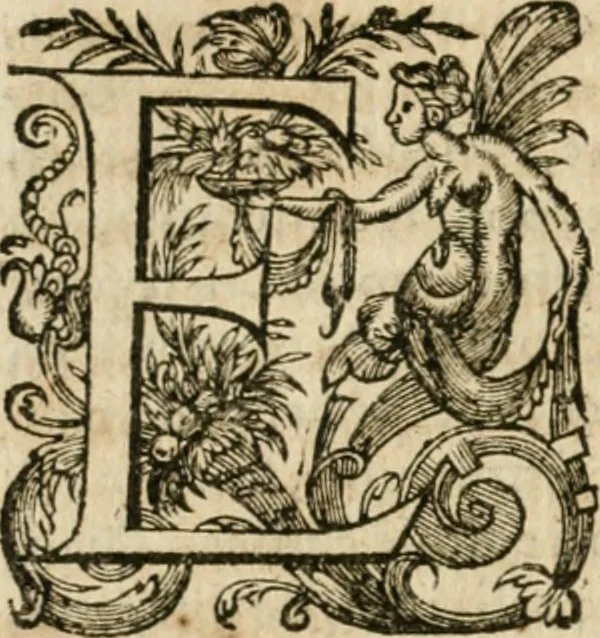 An illustration from Somme rural, ou, Le grand coustumier general de practique civil et canon, 1611, leaf 127
