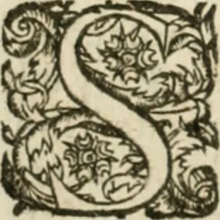 An illustration from Somme rural, ou, Le grand coustumier general de practique civil et canon, 1611, leaf 147