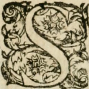 An illustration from Somme rural, ou, Le grand coustumier general de practique civil et canon, 1611, leaf 153