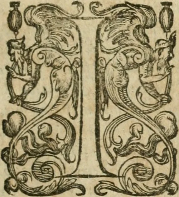 An illustration from Somme rural, ou, Le grand coustumier general de practique civil et canon, 1611, leaf 164