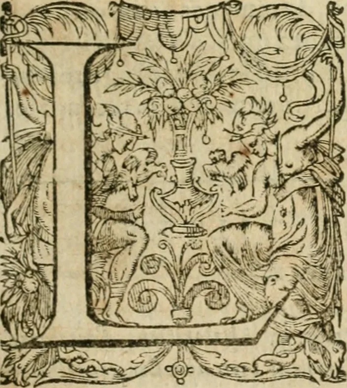 An illustration from Somme rural, ou, Le grand coustumier general de practique civil et canon, 1611, leaf 166