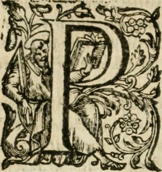 An illustration from Somme rural, ou, Le grand coustumier general de practique civil et canon, 1611, leaf 177