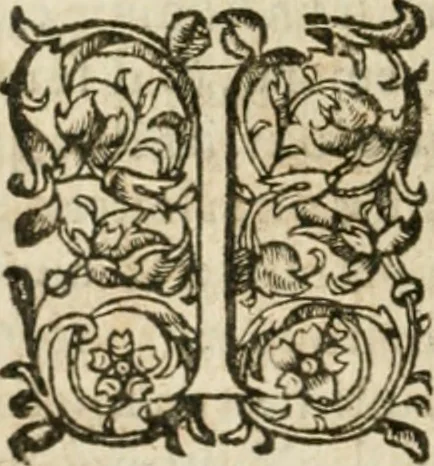 An illustration from Somme rural, ou, Le grand coustumier general de practique civil et canon, 1611, leaf 191