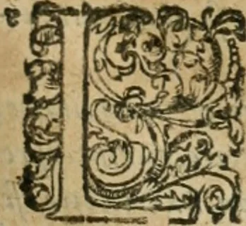 An illustration from Somme rural, ou, Le grand coustumier general de practique civil et canon, 1611, leaf 204