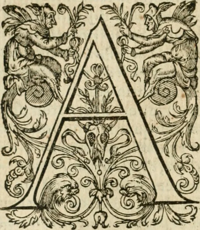 An illustration from Somme rural, ou, Le grand coustumier general de practique civil et canon, 1611, leaf 213
