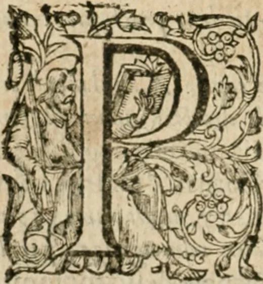 An illustration from Somme rural, ou, Le grand coustumier general de practique civil et canon, 1611, leaf 223