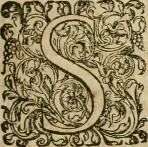An illustration from Somme rural, ou, Le grand coustumier general de practique civil et canon, 1611, leaf 226