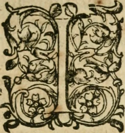 An illustration from Somme rural, ou, Le grand coustumier general de practique civil et canon, 1611, leaf 242