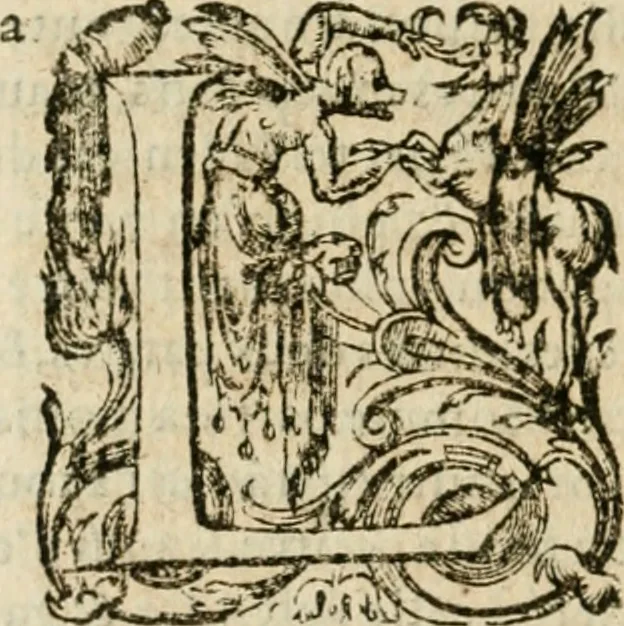 An illustration from Somme rural, ou, Le grand coustumier general de practique civil et canon, 1611, leaf 261