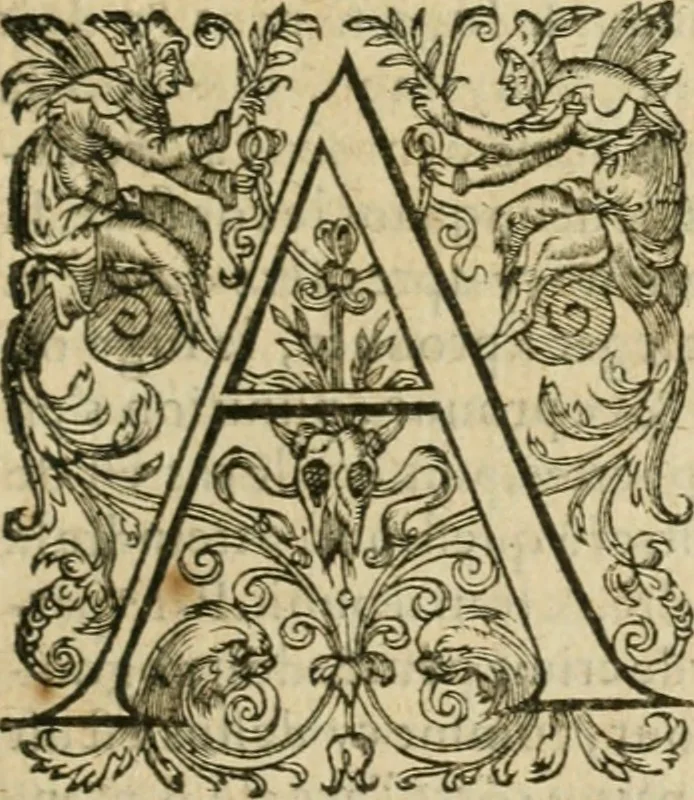 An illustration from Somme rural, ou, Le grand coustumier general de practique civil et canon, 1611, leaf 264