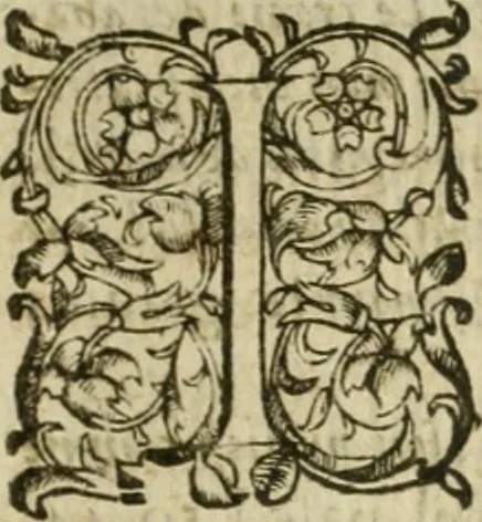 An illustration from Somme rural, ou, Le grand coustumier general de practique civil et canon, 1611, leaf 290