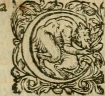 An illustration from Somme rural, ou, Le grand coustumier general de practique civil et canon, 1611, leaf 298