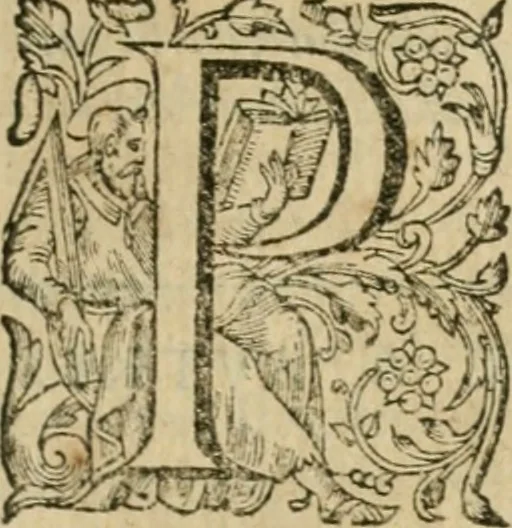 An illustration from Somme rural, ou, Le grand coustumier general de practique civil et canon, 1611, leaf 308
