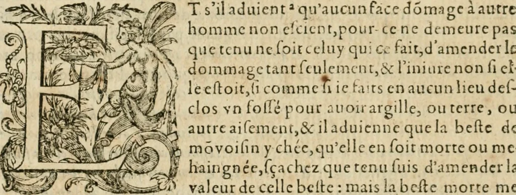 An illustration from Somme rural, ou, Le grand coustumier general de practique civil et canon, 1611, leaf 309