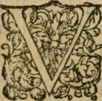 An illustration from Somme rural, ou, Le grand coustumier general de practique civil et canon, 1611, leaf 316