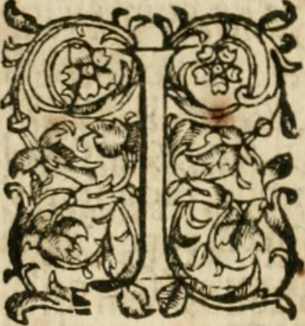 An illustration from Somme rural, ou, Le grand coustumier general de practique civil et canon, 1611, leaf 329