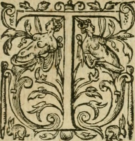 An illustration from Somme rural, ou, Le grand coustumier general de practique civil et canon, 1611, leaf 348