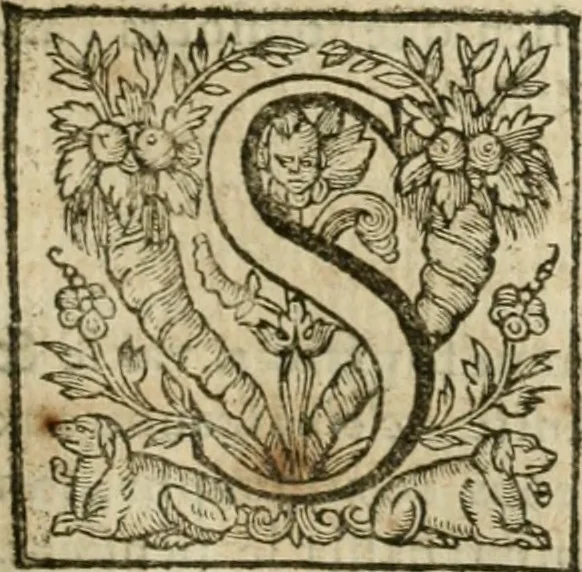 An illustration from Somme rural, ou, Le grand coustumier general de practique civil et canon, 1611, leaf 354